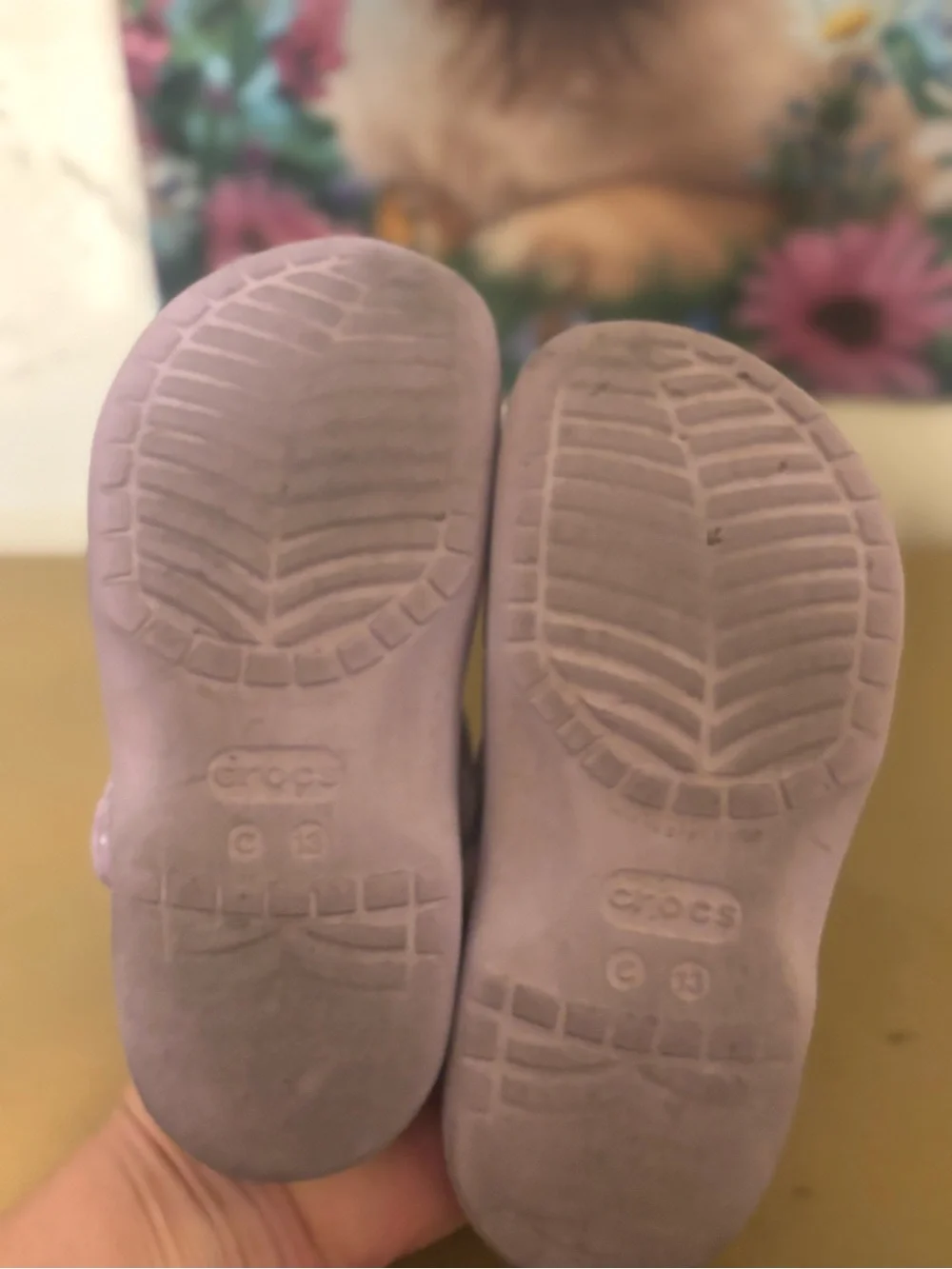 CROCS Kids Lilac Slip-On Clogs